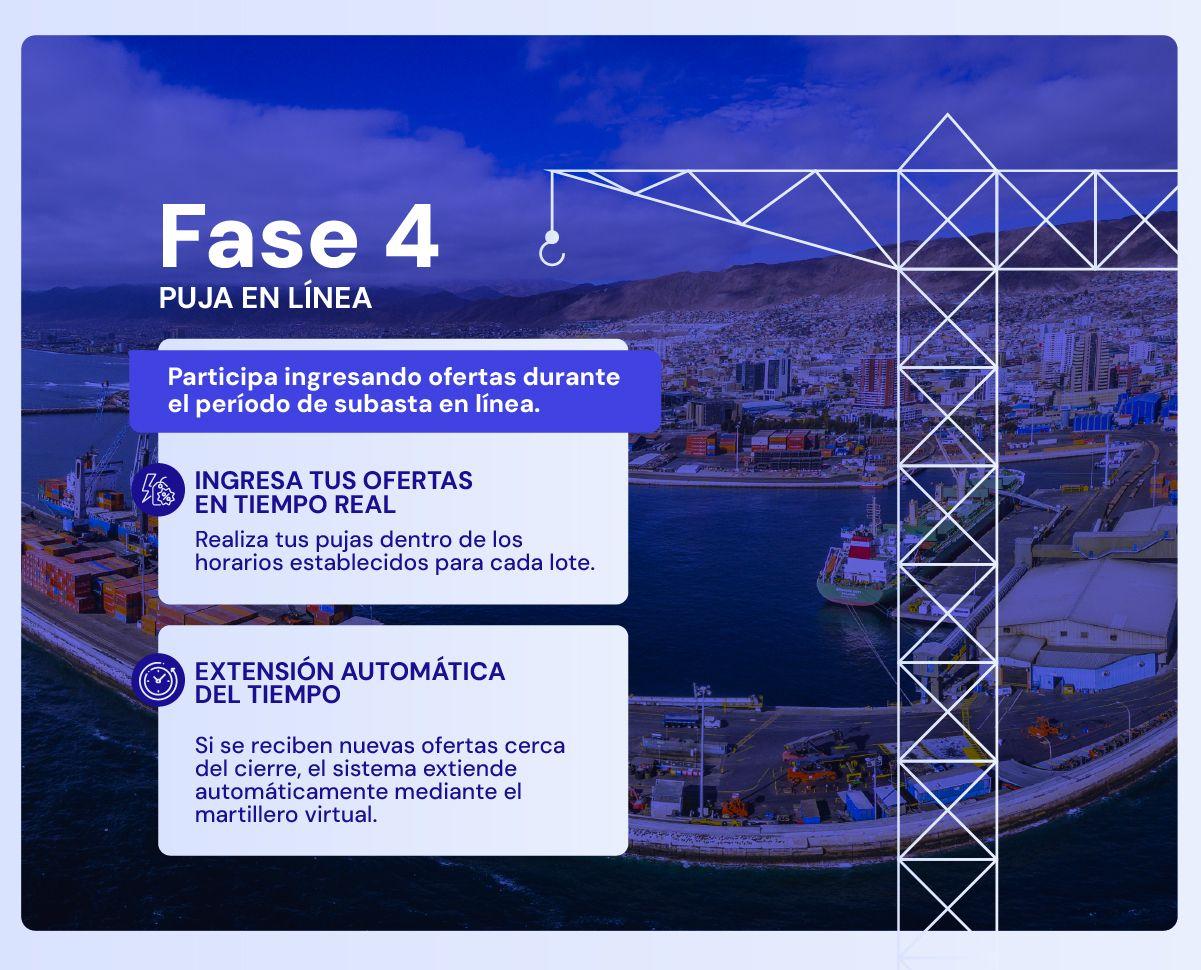 Imagen no encontrada