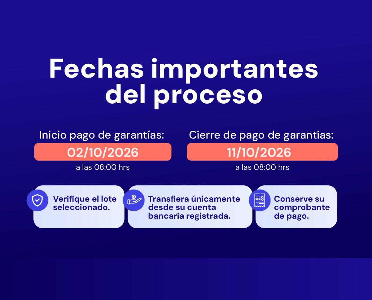 Imagen no encontrada